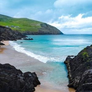 Meet your Posher, Carrie